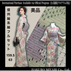 未使用近い　美品　袷　正絹　紬　信州紬風　上田紬風　フルセット