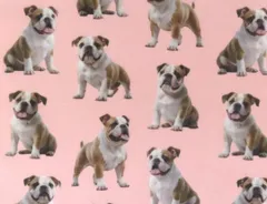 【ゆきちゃん限定】X2600 ブルドッグ柄 ピンク コットン生地 1m