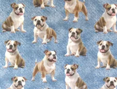 【ゆきちゃん限定】X2603 ブルドッグ柄 デニムブルー コットン生地 1m