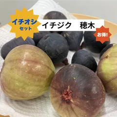 2026年最新】いちじく 穂木の人気アイテム - メルカリ