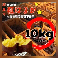 【さつまいも】 紅はるか 野菜 10kg 栽培期間農薬不使用【大感謝価格】