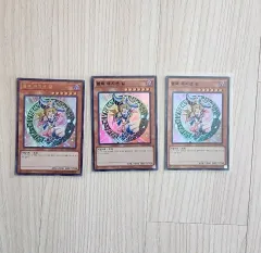 遊☆戯☆王カード ブラック・マジシャン・ガール (まとめ売り)