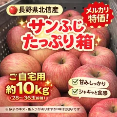 シーズン最終出品🙇安い！🍎SHOPイチオシ品！並品ふじ長野県産約10キロ🍎全国送料無料🚚りんごアップル　林檎　フルーツ