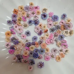 (02)かすみ草ドライフラワー100粒