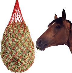 Item thumbnail for item 3959afd1-e2b6-483c-a26f-fec91f813a5c