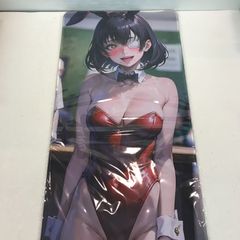 c106 ろうか ぼっち・ざ・ろっく 会場限定 ロングポスター PAさん