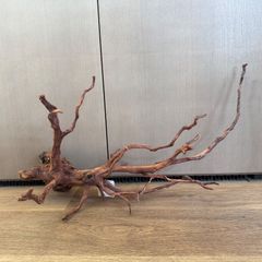 流木セット セレクト流木（現物発送）011501 - メルカリ