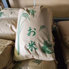 令和6年度 福井県産いちほまれ30kg玄米 - メルカリ