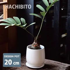 新品 植木鉢 おしゃれ 陶器鉢 質感の良いマットホワイトの植木鉢 GP101-205 6.5号(20.5cm) 鉢底穴有り 受け皿付き モダン 和テイスト インテリア ホワイト