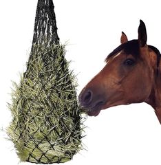 Item thumbnail for item 69f5ef7d-f99c-4abb-8a2e-1f9fe6ea6720