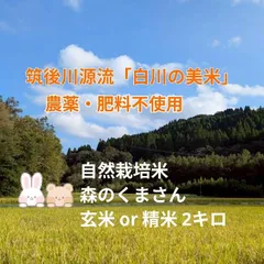 自然栽培米【R7年産】白川自然農園の玄米２キロ｜熊本阿蘇 筑後川源流で育む自然栽培米｜農薬・肥料・除草剤・消毒・一切の補いも不使用｜森のくまさん｜農家直販｜産地直送のサムネイル