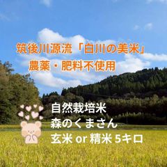 ☆彡自然栽培米【R7年産】白川の美米 玄米５キロ｜熊本阿蘇 筑後川源流で育む自然栽培米｜農薬・肥料・除草剤一切不使用｜森のくまさん｜農家直販｜産地直送