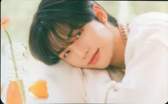 StrayKids Hyunjin NACIFICコラボ ver9