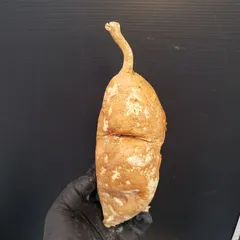 2026年最新】アデニアの人気アイテム - メルカリ