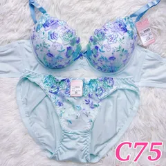 ブラショーツセット C75 豪華刺繍 花柄 フラワー ビジュー リボン ブルー系 大人可愛い キュート フルバック ランジェリー 下着セット