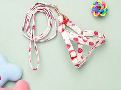 Item thumbnail for item f90e9fa8-c695-4aa4-b31f-c2f8f2d0e8ff