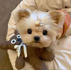 限定 QWER スペシャル Beyond the Discord レコード LP - メルカリ