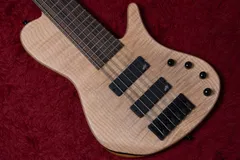 2026年最新】fodera model 2000の人気アイテム - メルカリ