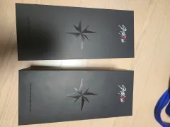 Stray Kids(ストレイキッズ・スキズ・SKZ) ペンライト ver 2 / Ver. 2 まとめ売り 2個