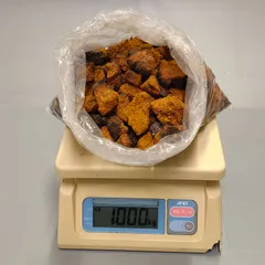 2026年最新】カバノアナタケの人気アイテム - メルカリ