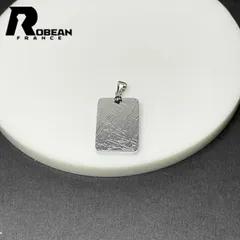 【一点限り】EU製★ROBEAN・シルバーギベオン隕石ペンダント★月に近い パワーストーン 天然石 幸運 プレゼント 26*17.2*2.9mm M0109476