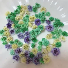 (03)かすみ草ドライフラワー100粒