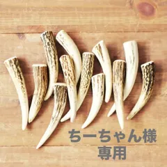 ちーちゃん様専用