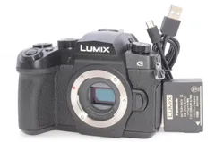 2026年最新】dc-g99dの人気アイテム - メルカリ