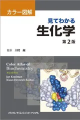 カラー図解 見てわかる生化学 第2版のサムネイル