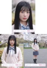 【中古】生写真(乃木坂46) ◇櫻坂46/稲熊ひな/櫻坂46ランダム生写真【四期生お披露目制服】 3種コンプリートセット