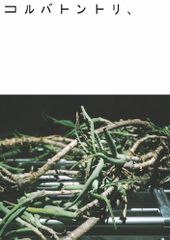 Item thumbnail for item 503fdab2-25b4-4074-9e8b-069d52d08f4a