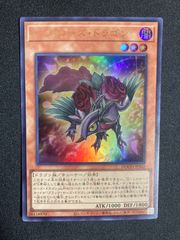 e・heroプリズマー　シークレット 遊戯王 E・HERO プリズマー シークレットRD/KP19-JP065 遊戯王 E・HERO