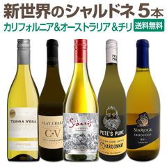 城戸ワイナリー Autumn Colors 2020 シャルドネ 城戸ワイナリー Autumn Colors 2020 シャルドネ - メルカリ