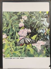 水彩画　ジクレー版画「紫蘇畑と向日葵」（京都市大原） 水彩画 ジクレー版画「紫蘇畑と向日葵」（京都市大原） - メルカリ