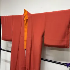 未着用　色無地　一つ紋　蝶　桜花模様　襟　着物　104tz