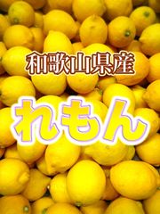 幻のみかん 紀州大坊みかん 秀品 3kg みかんキング - メルカリ