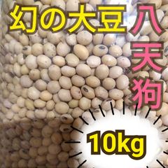 自然栽培 幻の大豆『八天狗』10kg 熊本県産 【公式通販】