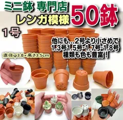 ミニプラ鉢専門店＊一寸鉢＊1号鉢ミニプラ鉢[レンガ柄] 50鉢＠1寸鉢：1号プラ鉢50個セット＊多肉・塊根植物コーデックス・アガベ・サボテン・観葉・ハオルチア・アデニウム・パキポディウム＊グラキリス・実生＊ミニ鉢＠フラワーショップ江口