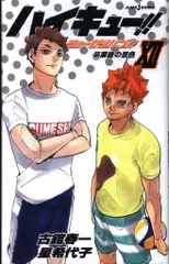 集英社 ジャンプJブックス 星希代子 ハイキュー!! ショーセツバン!! 12