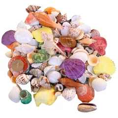 siawadeky カラフル 貝殻 500g アソート セット 天然素材 ミックス ビーチシェル 水族館/水槽/鉢植え/ドリフトボトル 飾り ビーチ小物 DIY用 鑑賞用 ジュエリー アクセサリーパーツ 手芸用品