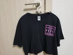 (正規品)ズンバ クロップドTシャツ XS