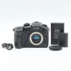 2026年最新】lumix gh5の人気アイテム - メルカリ