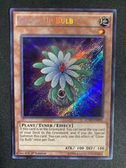 特価】パワー・オブ・フェローズ シンクロ・フェローズ シークレット