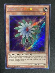 2026年最新】グローアップバルブ 英語の人気アイテム - メルカリ