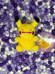 メタモン ピカチュウ ぬいぐるみ キーホルダー