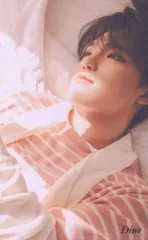 SEVENTEEN Your Choice DINO トレーディングカード