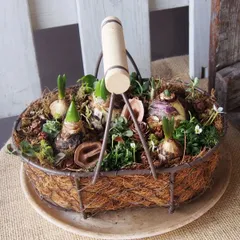 sayo様専用ぺージになります[わくわく♪春が楽しみ球根鉢]ワイヤーバスケット