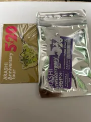 嵐　アニバーサリーツアー　5×20 チャーム　アクリルキーホルダー　アクリルチャーム　緑　紫　セット