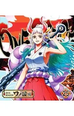 Blu-ray／ONE PIECE ワンピース 20THシーズン ワノ国編 piece.25