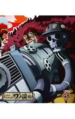 Blu-ray／ONE PIECE ワンピース 20THシーズン ワノ国編 piece.48
